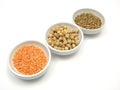 Garbanzos lentils and red lentils