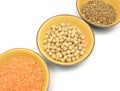 Garbanzos lentils and red lentils