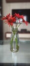 Garbera flower in glass pot at my home