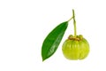 Garcinia cambogia fresh fruit, isolated on white. Fruit for diet