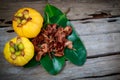 Garcinia cambogia fresh fruit on wood background. Fruit for die