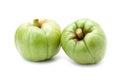 Garcinia Cambogia