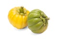 Garcinia Cambogia