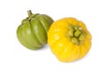 Garcinia Cambogia