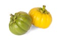 Garcinia Cambogia