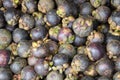 Garcinia mangostana fruit