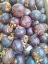 Garcinia Mangostana L , mangosteen fruit