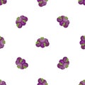 Garcinia mangosteen pattern seamless vector Royalty Free Stock Photo