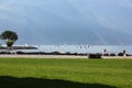 Garda Lake Ferry in May, Riva del Garda Royalty Free Stock Photo