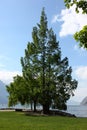 Garda Lake Ferry in May, Riva del Garda Royalty Free Stock Photo