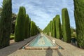 Garden of the Alcazar of the Christian Monarchs in Cordoba, Spain