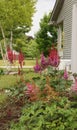 A garden along the side of a house filled with a variety of Astilbe flowering plants in the summer