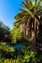 Garden of the ancient necropolis of Kellah Chellah in the city of Rabat, Morocco