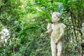 Garden Angel Statue Royalty Free Stock Photo