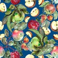Garden apples with leaves painting in watercolor. Illustration for decor. Royalty Free Stock Photo
