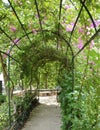 Garden Arbor