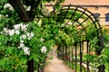 Garden arch