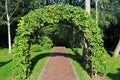 Garden arch made of intertwined oak branches