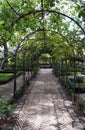 Garden arch