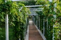 garden arches and path Royalty Free Stock Photo