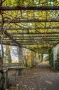 Garden archway passage in Autumn