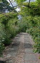 Garden Archway path