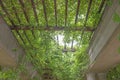 Garden archway pergola, Wroclaw