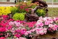 Garden arrangement at Hoan Kiem lake Royalty Free Stock Photo