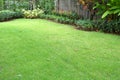Garden arrangement landscaping with green grass turf and small shrub plant in backyack