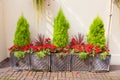 Garden arrangement of planters