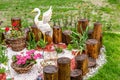 Garden arrangement with wood logs