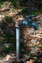 Garden Art - Faucet with Leaves Royalty Free Stock Photo