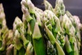 Garden asparagus or Asparagus officinalis on the shelves at the supermarket