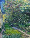 The garden of the asylum at Saint-Remy by Vincent Van Gogh