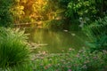 Garden atmosphere with bridge and water stream and sunlight Royalty Free Stock Photo