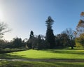 Garden in Auckland Domain at early morning. Royalty Free Stock Photo