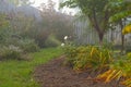 Garden autumn foggy morning Royalty Free Stock Photo