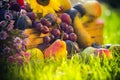 Garden autumn harvest fruit grass sunset Royalty Free Stock Photo