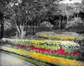 The garden background black and white flowers in the park.