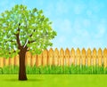 Garden background with green tree and wooden fence