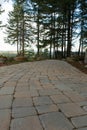 Garden Stone Brick Paver Walking Path Royalty Free Stock Photo