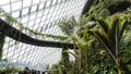 Cloud Forest Garden By the Bay in Singapore