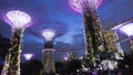 Garden By the Bay in Singapore