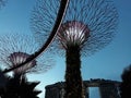 Garden by The Bay Singapore Royalty Free Stock Photo