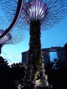 Garden by The Bay Singapore Royalty Free Stock Photo