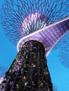 Garden by The Bay Singapore Royalty Free Stock Photo