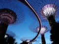 Garden by The Bay Singapore Royalty Free Stock Photo