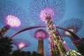 Garden by the bay, SINGAPORE OCTOBER 11, 2015: twilight scene of the supertree at garden by the bay