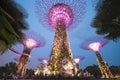 Garden by the bay, SINGAPORE OCTOBER 11, 2015: twilight scene of the supertree at garden by the bay