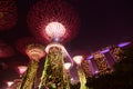 Garden by the Bay Singapore with red light & Marina Bay Sands Hotel on the right